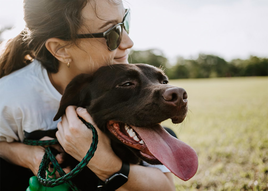Doglove